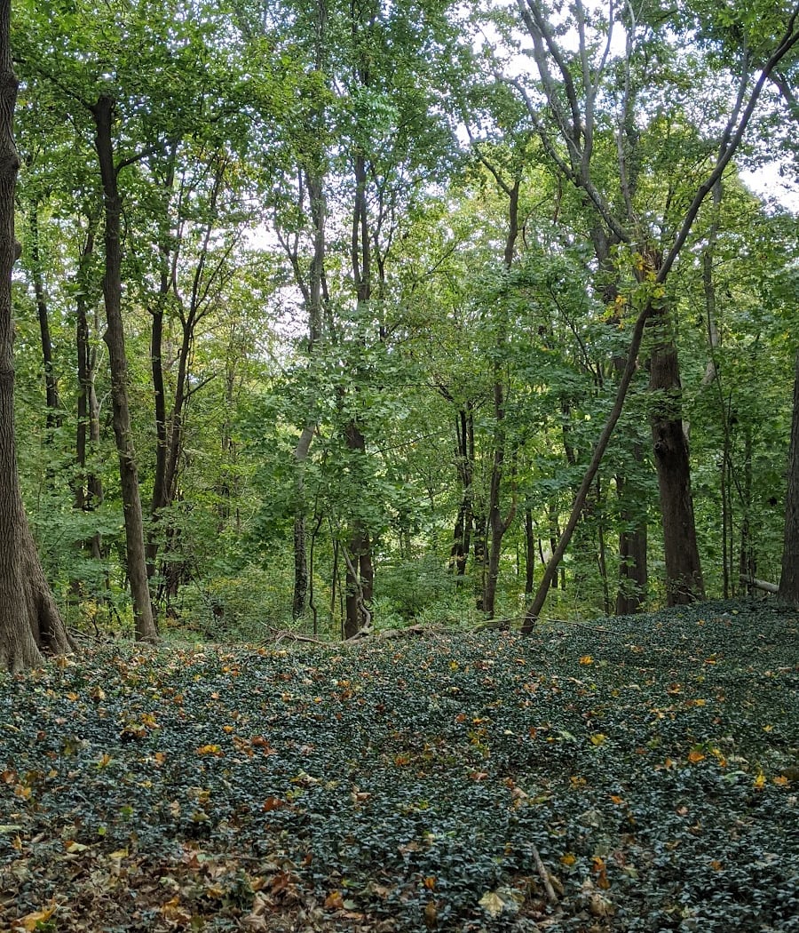 Trail View State Park 4