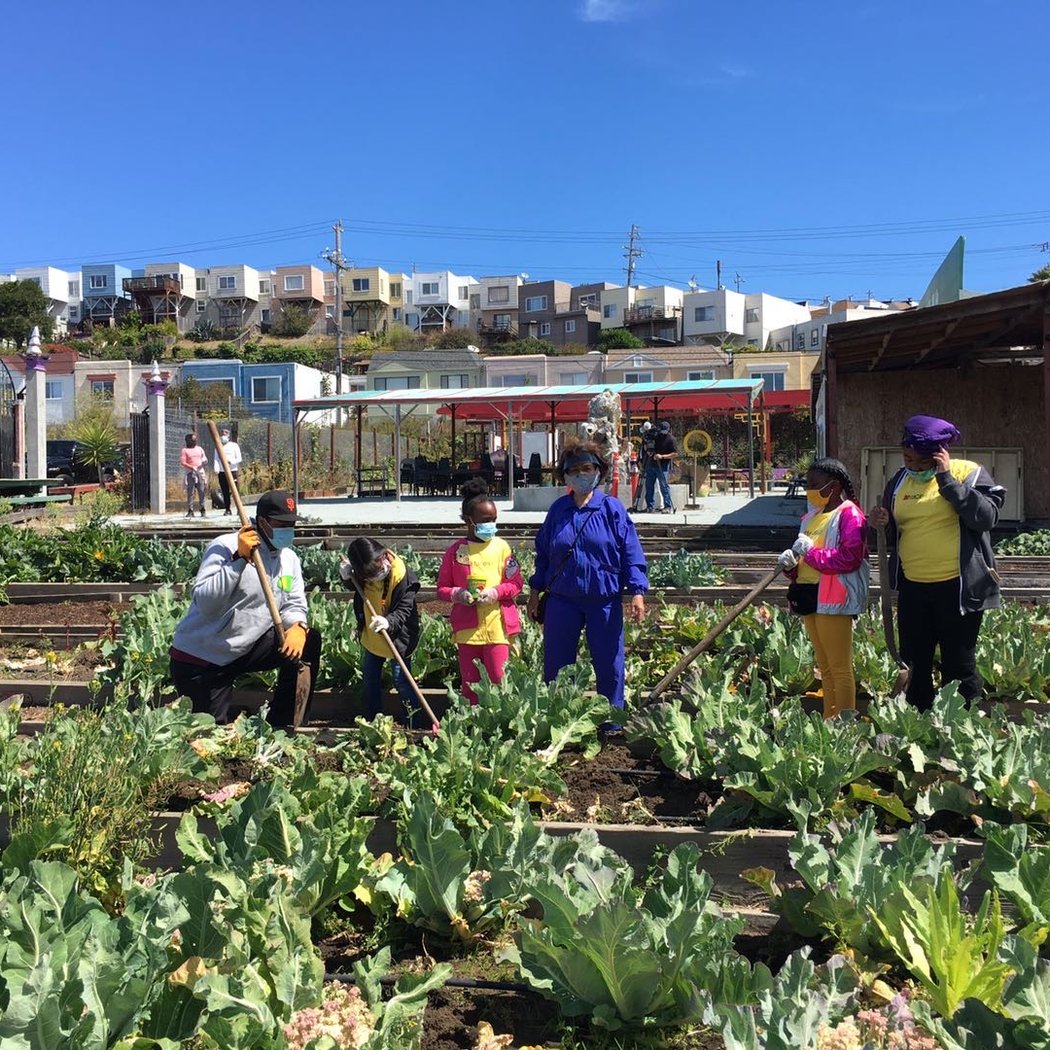 Florence Fang Community Farm 1