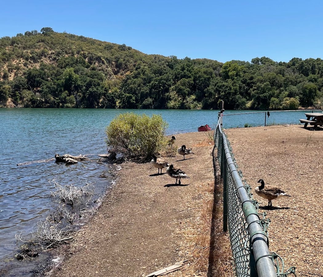 Stevens Creek County Park Lakeshore Picnic Area 2