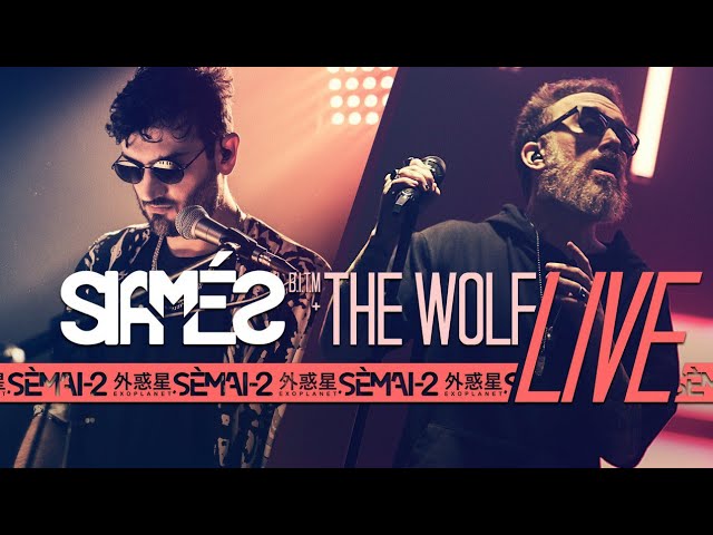 Siamés 2