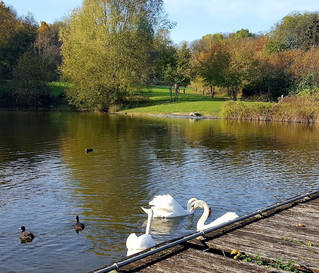 Park Arboretum Montfermeil 1