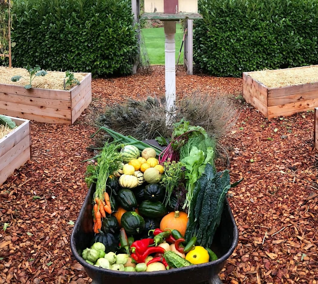 Fall Vegetable Class 1
