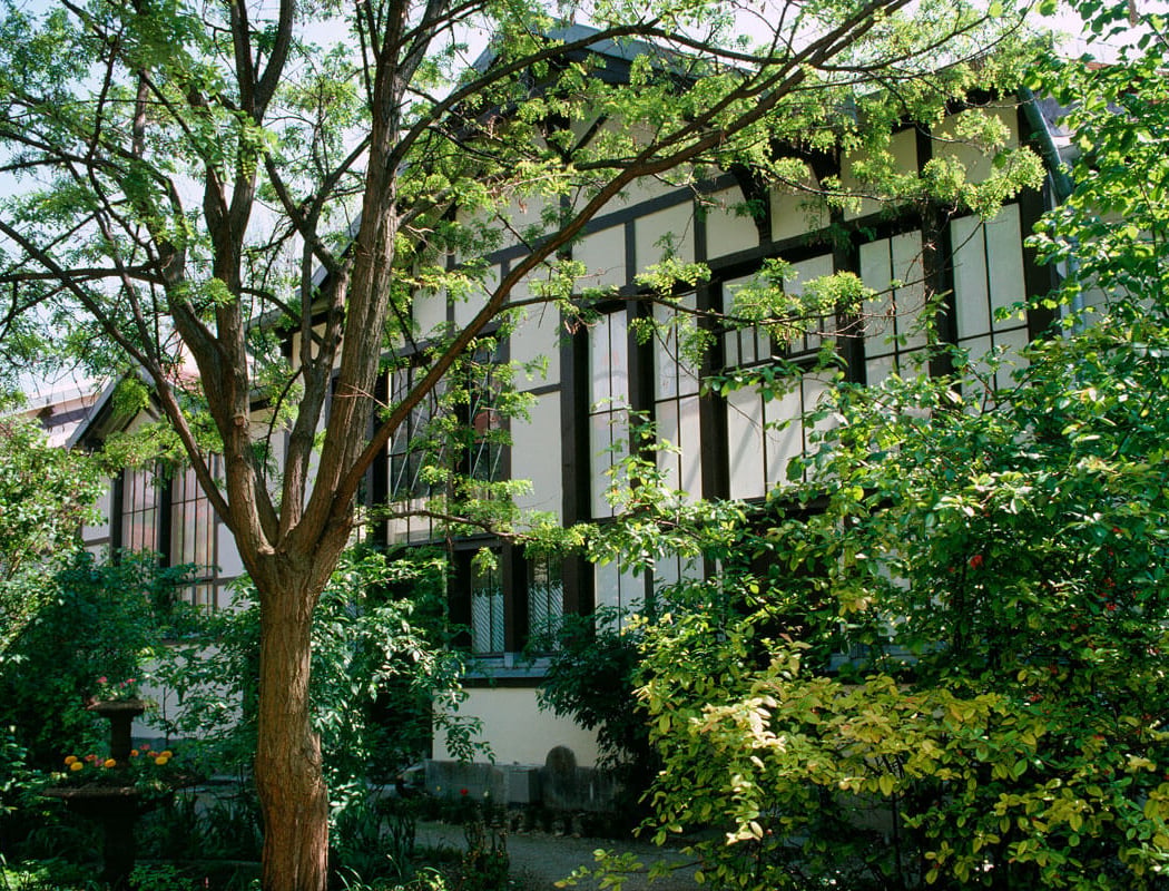 La Cité Fleurie 2