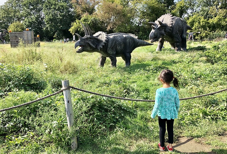 Field Station: Dinosaurs 2