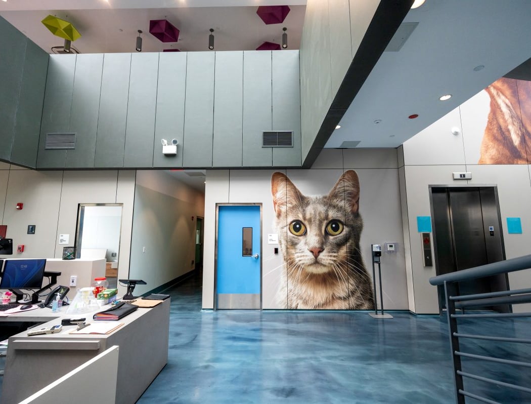 Animal Care Centers of NYC - Queens 2
