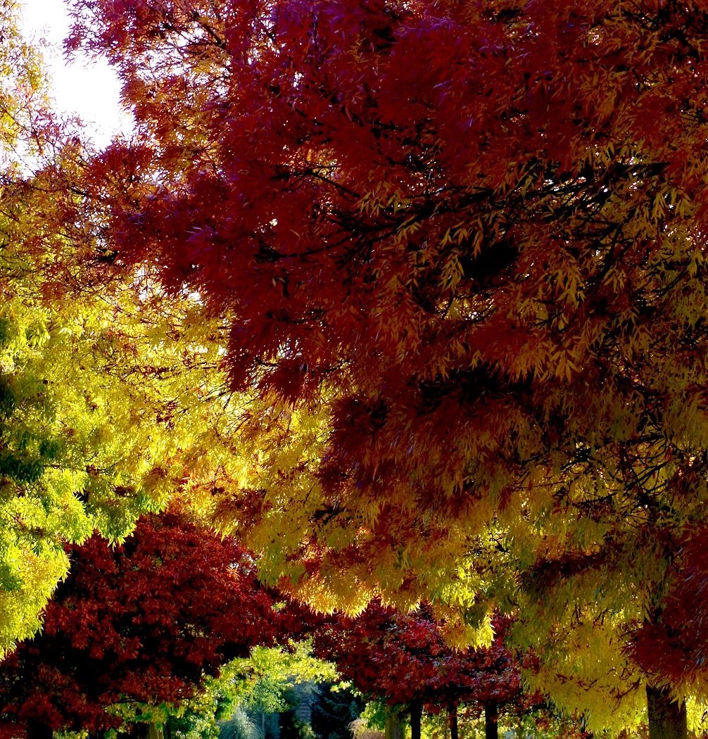 Parc de loisirs Jacques Vernier 1