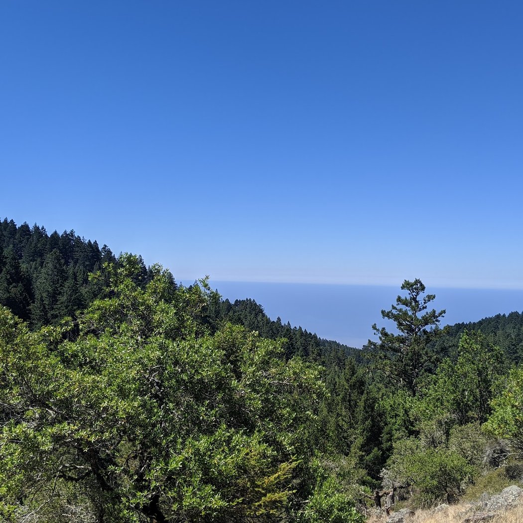 Matt Davis Trail 3