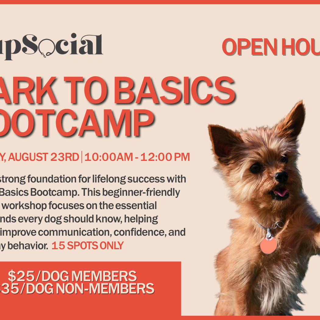 Bark to Basics Bootcamp 1