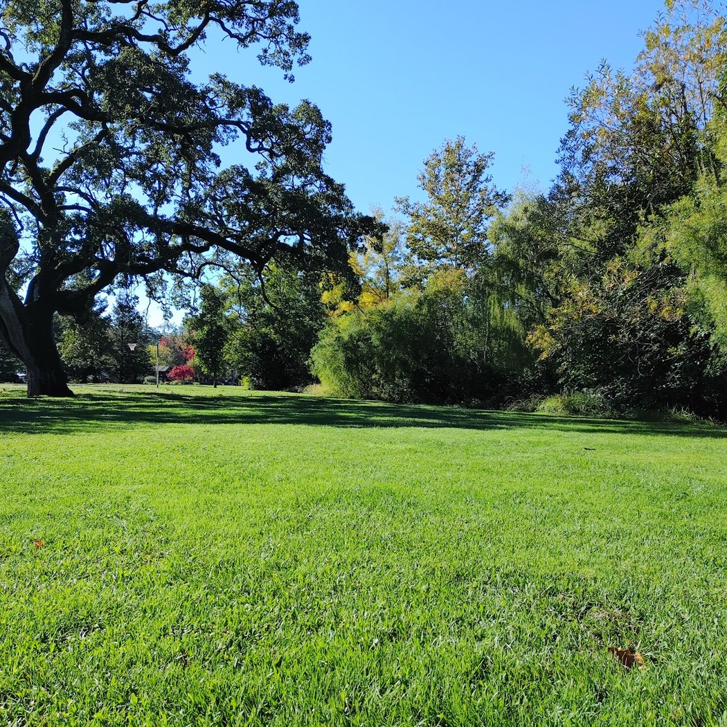 Tanglewood Park 1