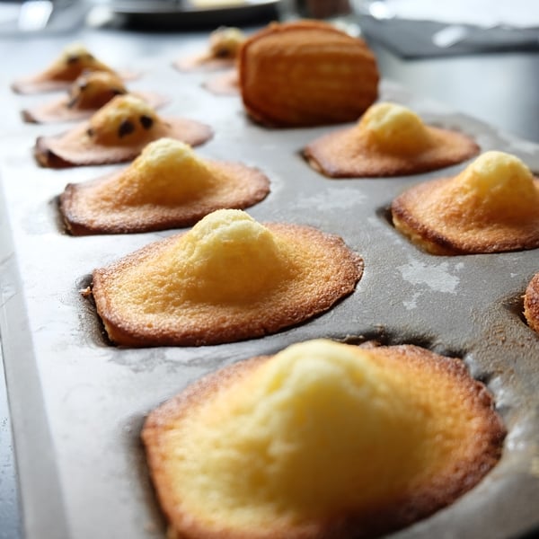 The Best of French Pastry 1