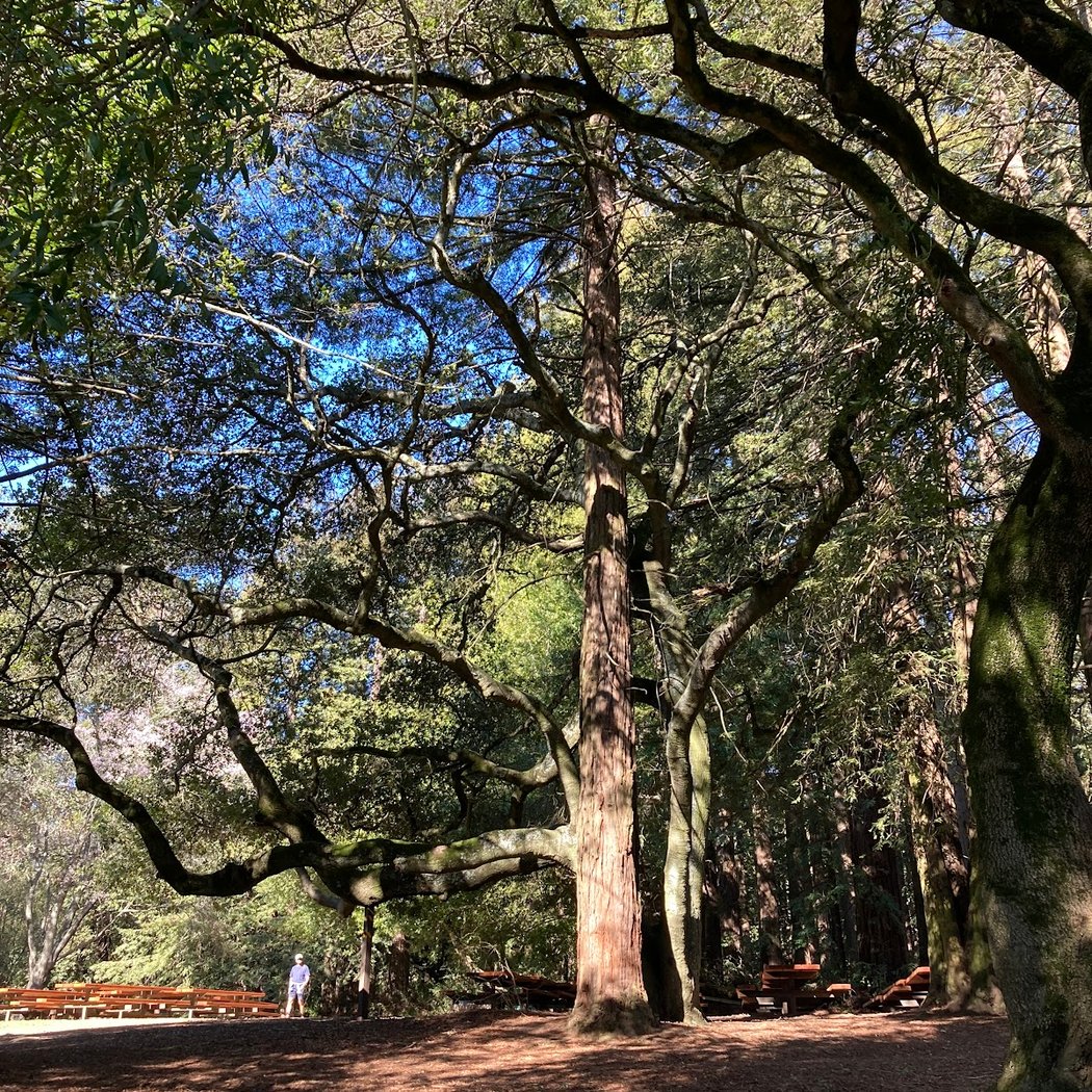 Bay Vista Picnic Area 3