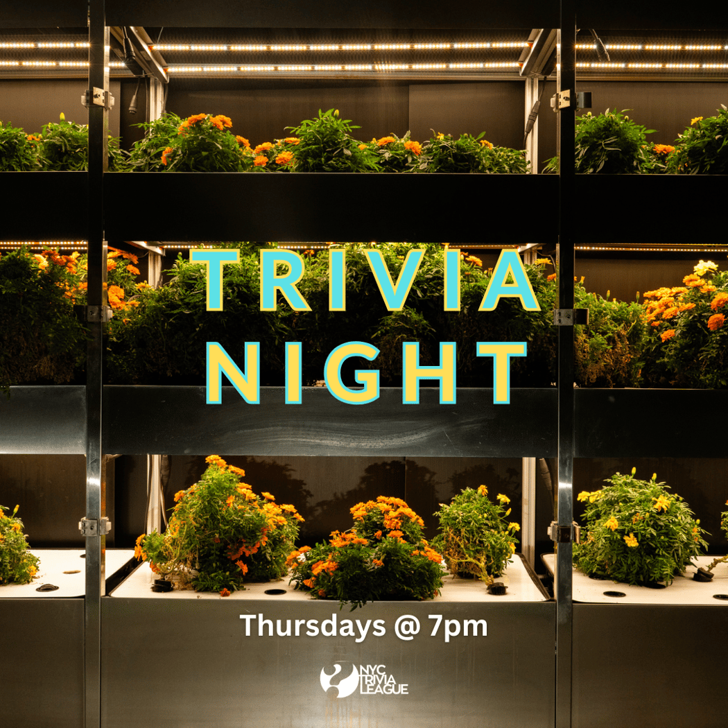 Trivia Thursdays 1