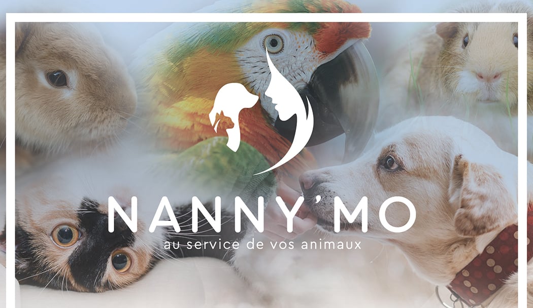 Nannymo 1