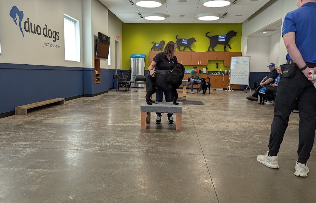 Duo Dogs Obedience Class Session 32 (Basic Skills) 1