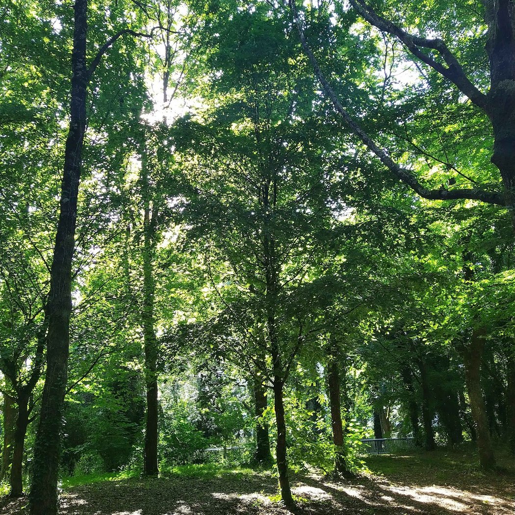 Promenade de la Chézine 2