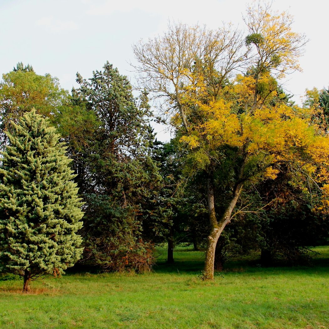 Animations et jeux de pistes à l'Arboretum de Versailles-Chèvreloup 2