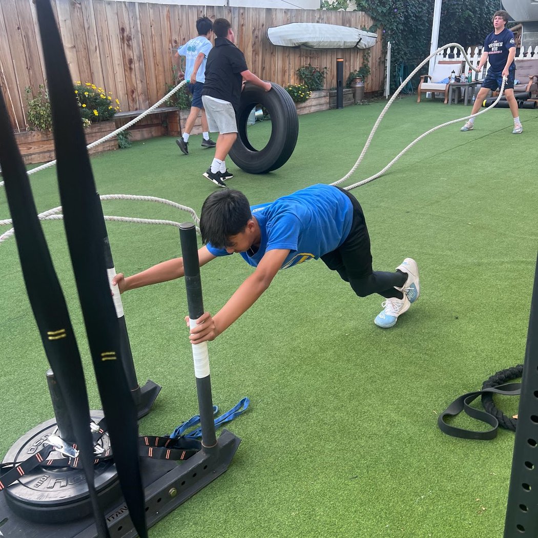 THE FITNESS FARM 1