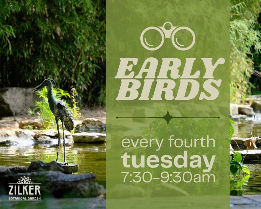 Early Birds in the Garden 1