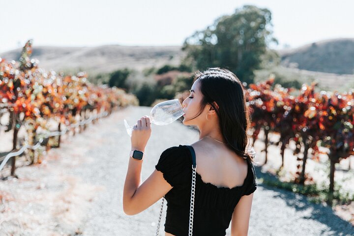 San Francisco Super Saver: Muir Woods & Wine Country w/ optional Gourmet Lunch 2