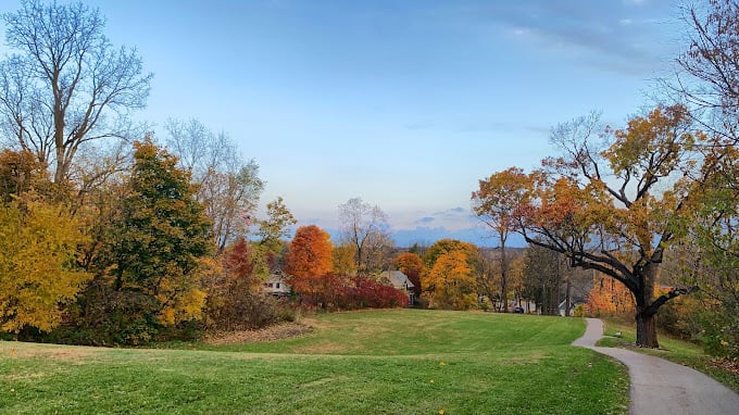 Wurster Park 1