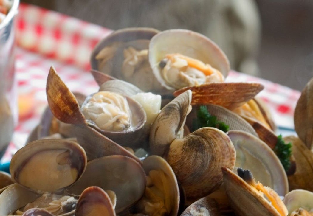 Boardwalk Clam Chowder Cook-Off 2