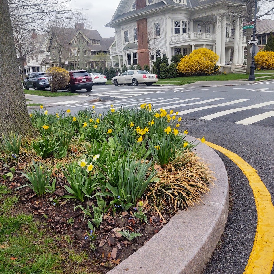 Prospect Park South 3