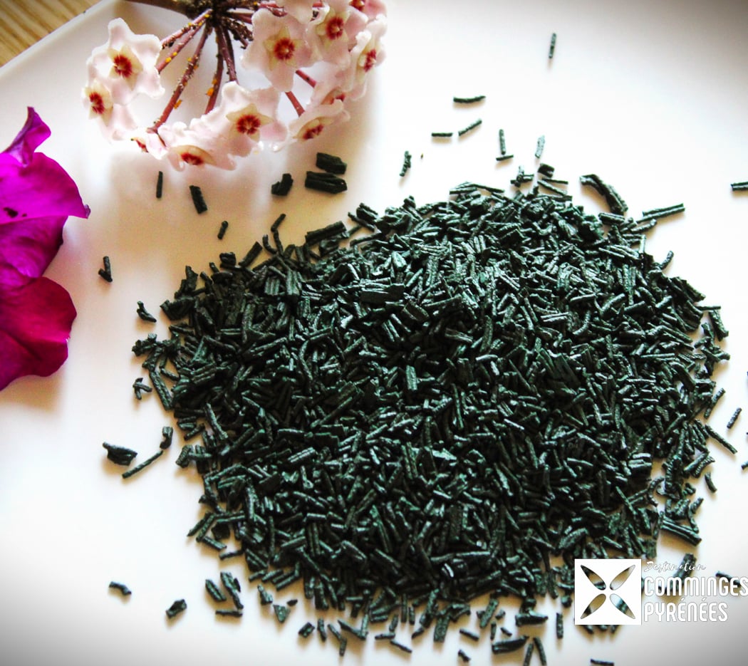 Fée Spiruline, production française et biologique de spiruline dans les Pyrénées 1