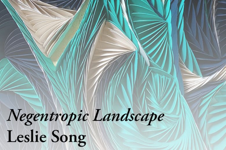 Negentropic Landscape 4