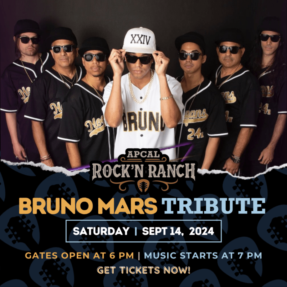 That's What I Like - Bruno Mars Tribute