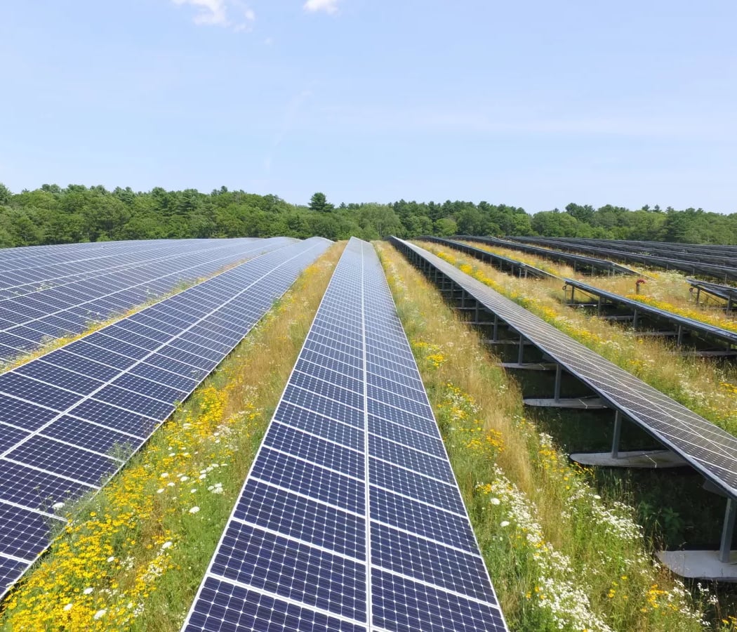 Agrivoltaics Webinar: Keeping the Farm in 'Solar Farm 2