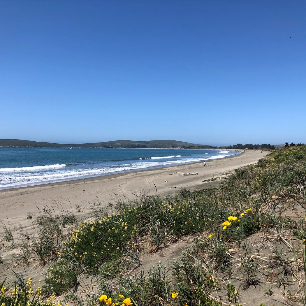 Doran Beach 1