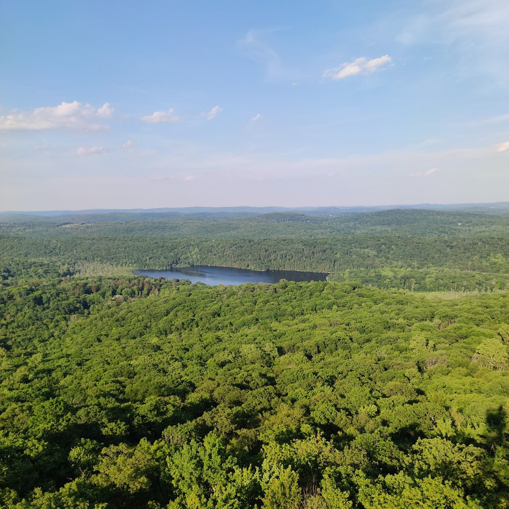 Nimham Mountain Multiple Use Area 3