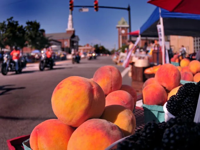 South Carolina Peach Parade 3