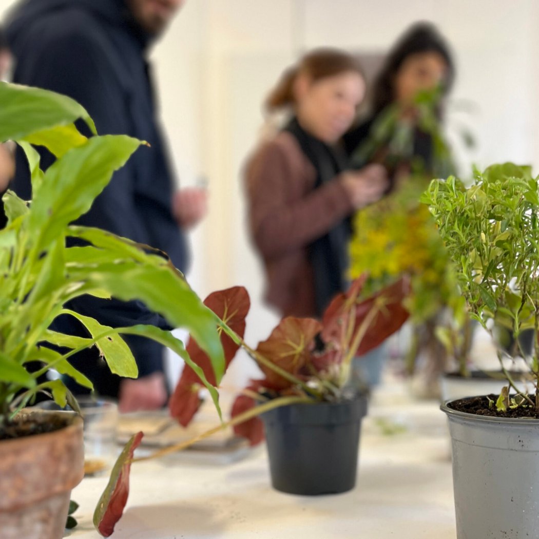 Échange de plantes 1