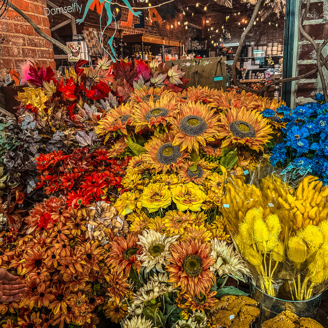Damselfly Flowers at Chelsea Market 1