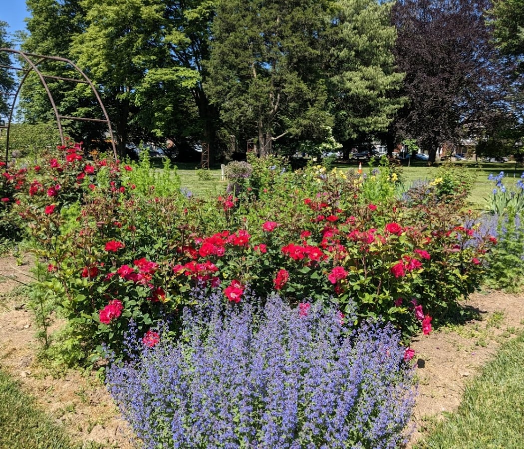 Live in the Garden Concert Series 1