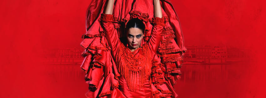 Zambomba Flamenca 2