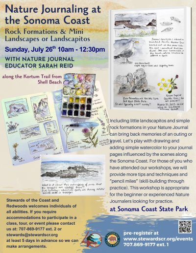 Coastal Nature Journaling - Rock Formations & Mini Landscapes 1