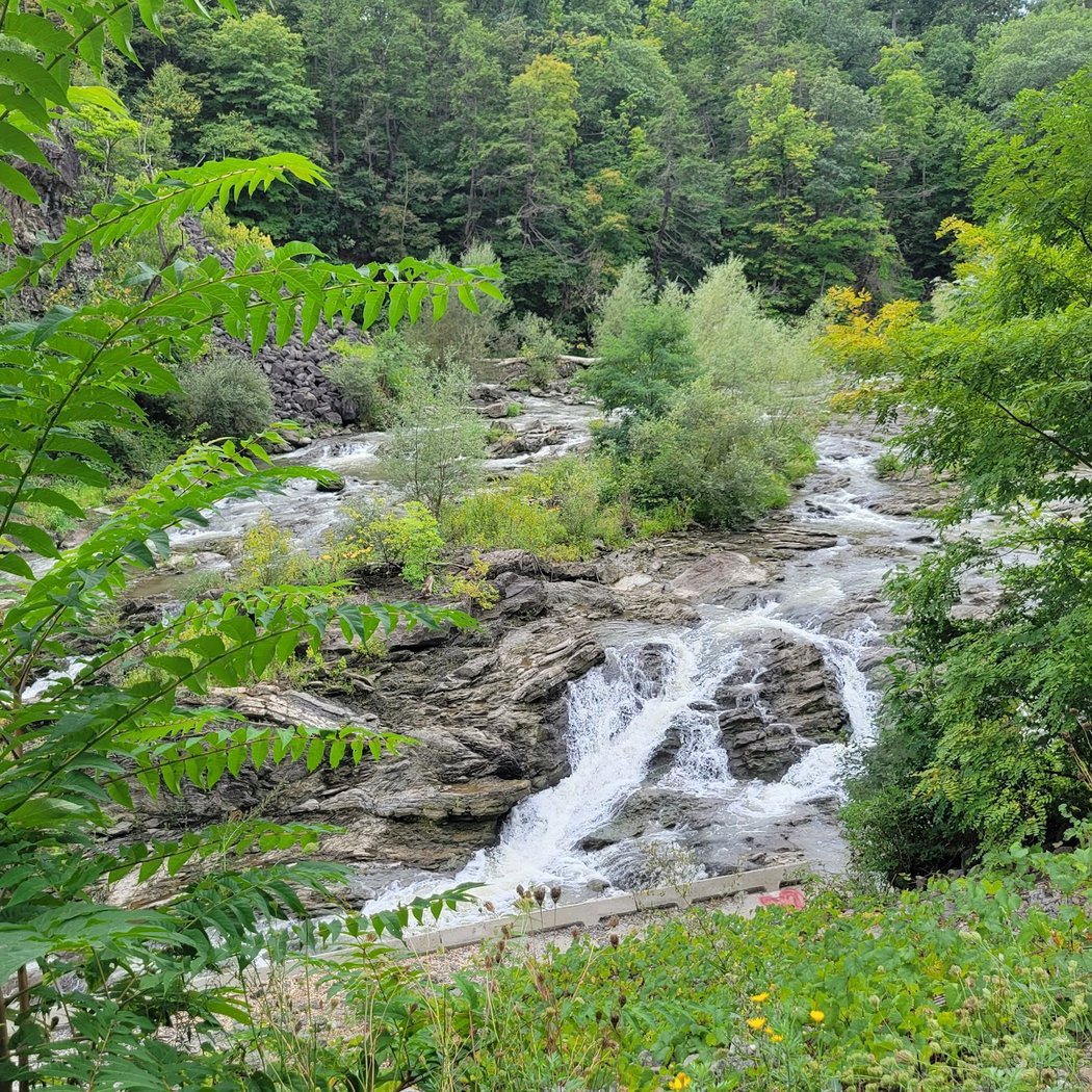 Albany County Helderberg-Hudson Rail Trail 1