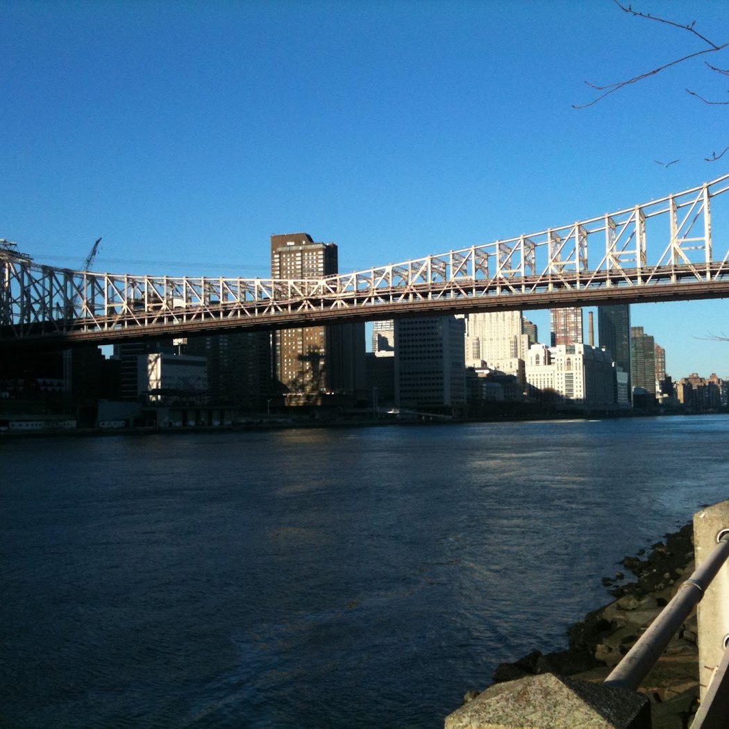 Roosevelt Island 3