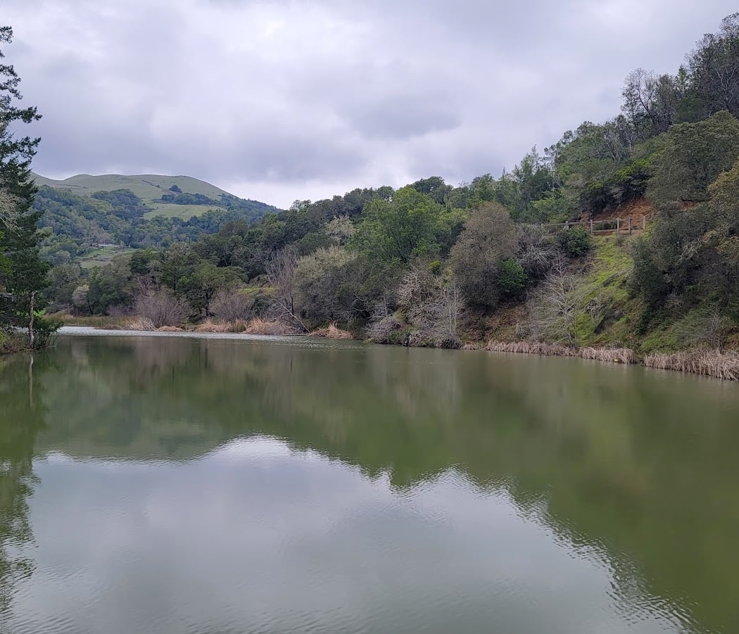 Phoenix Lake 3