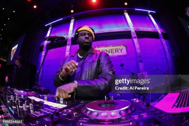 Funk Flex Birthday R&B Picnic 1