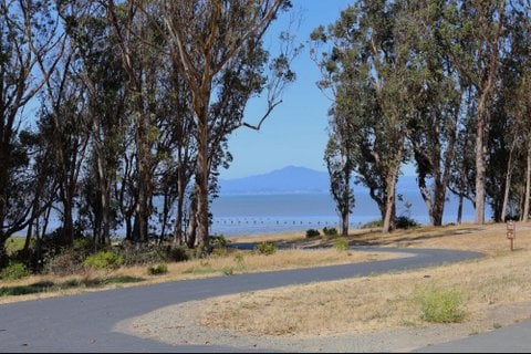 Hiking Trail 2