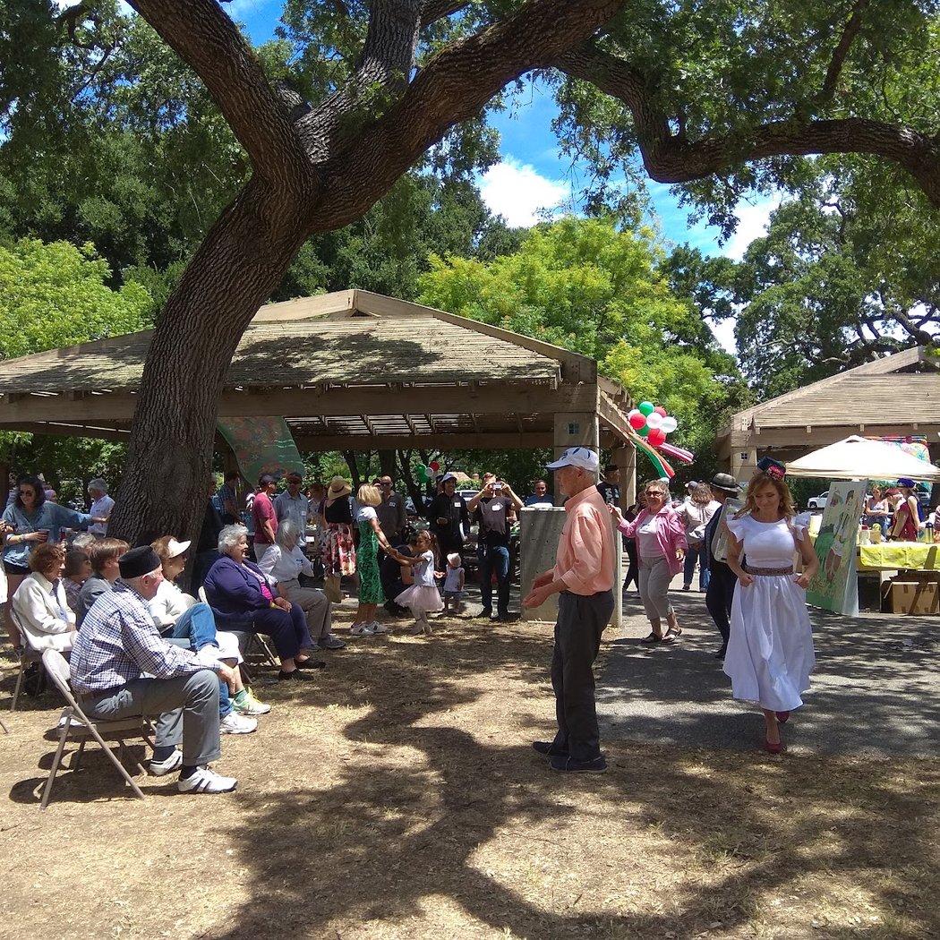 Flood Park Festival 1