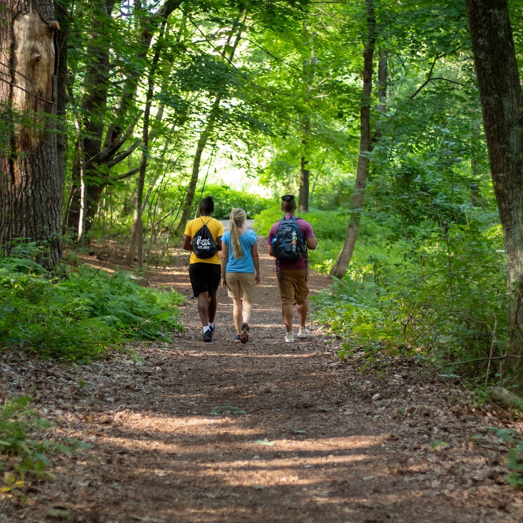 Hike and Brew: Summer at Sunset 2