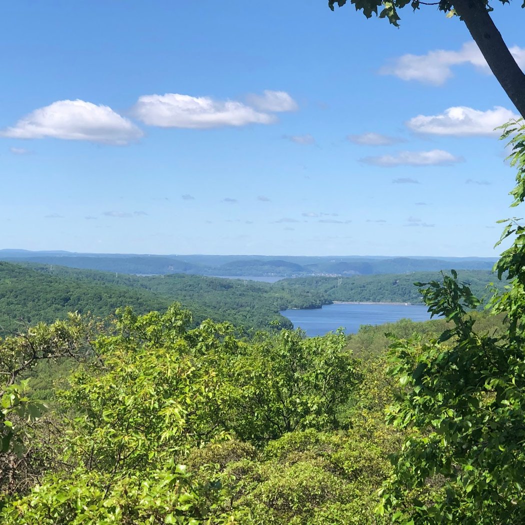 Turkey Mountain 1