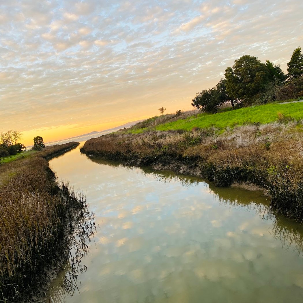 Pinole Creek 1