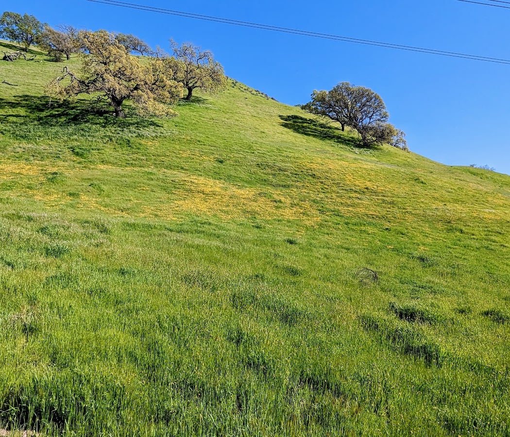 Holdener Park 2