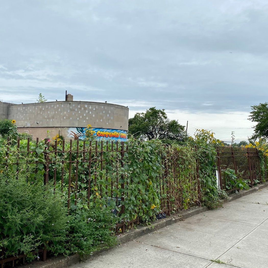 West 23rd Street Community Garden 3