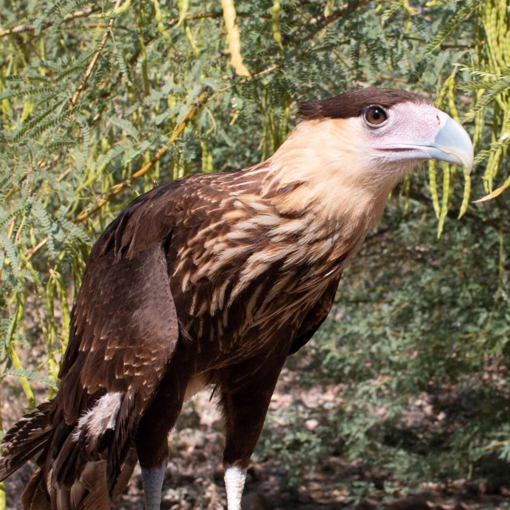 Public Visiting Hours & Wildlife Education Trail